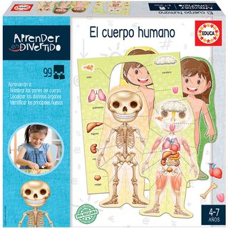 Didacti Aprender es divertido el cuerpo humano