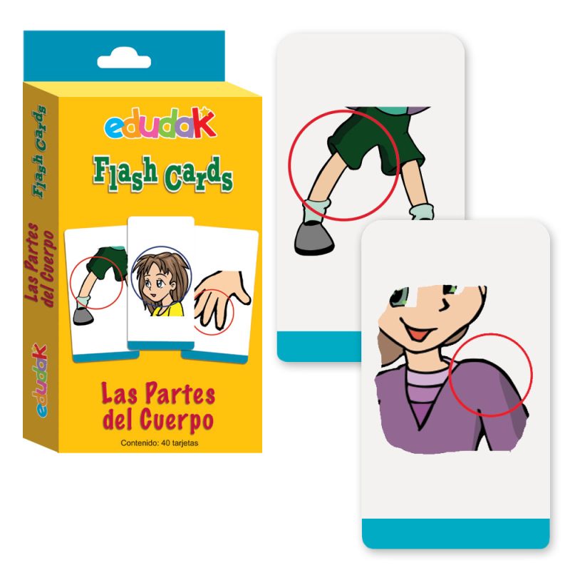 Didacti Fash cards partes del cuerpo 40 cartas