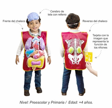 Didacti Entendido mi cuerpo chaleco de tela organos impresos