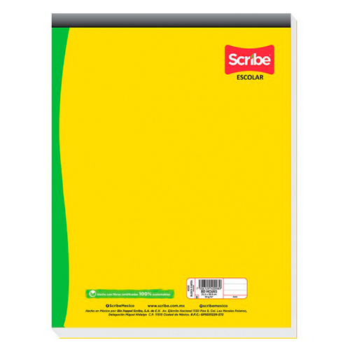 Didacti Block carta 80 hojas 4552 cuadro chico