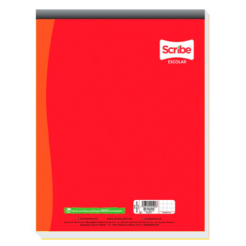 Didacti Block carta 80 hojas 4553 cuadro grande