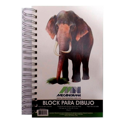 Didacti Block para dibujo 15.2 X 24.1 cm 150 hojas