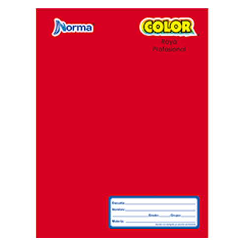 Didacti Cuad. profesional COSIDO  RAYA 100H.