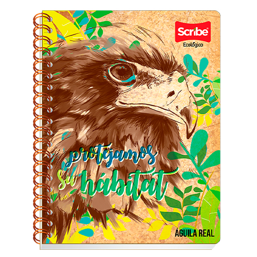 Didacti Cuaderno profesional ECO RAYA arillo doble 100 hojas
