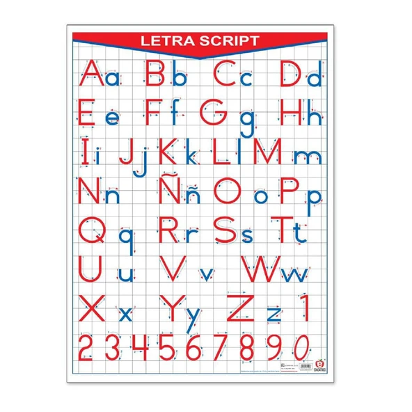 Didacti Póster letra script 68x93 plastificado B-0238