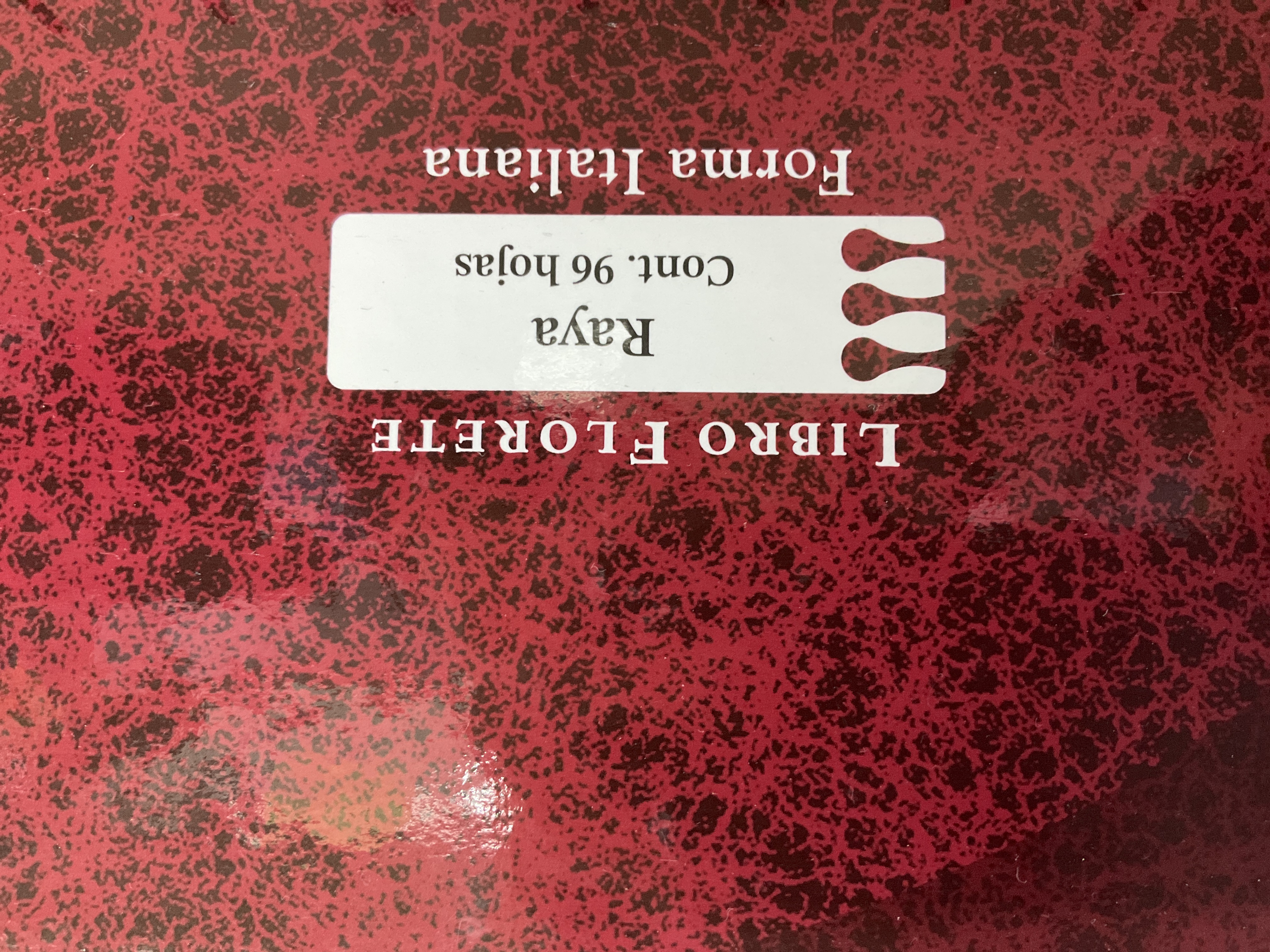 Didacti RAYA Libro Florete 96 hojas Forma Francesa